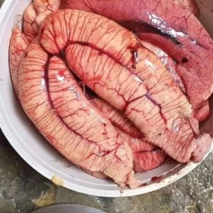 ৬ কেজি ডিম ৩০০০ টাকা